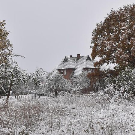 Ferienwohnung Ehemalige Revierfoersterei "Uns Luett" Kuhstorf 外观 照片