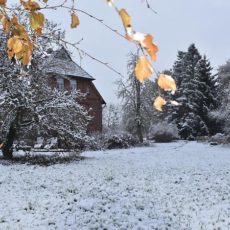 Ferienwohnung Ehemalige Revierfoersterei "Uns Luett" Kuhstorf 外观 照片