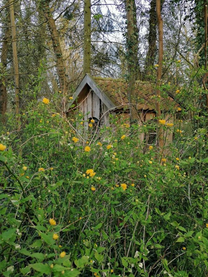 Ferienwohnung Ehemalige Revierfoersterei "Uns Luett" Kuhstorf 外观 照片