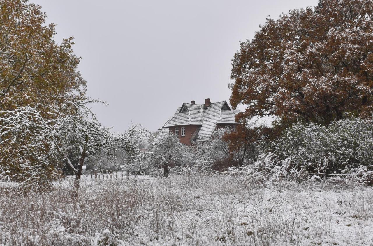 Ferienwohnung Ehemalige Revierfoersterei "Uns Luett" Kuhstorf 外观 照片